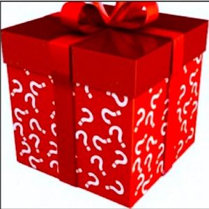 Designer Build a MYSTERY BOX